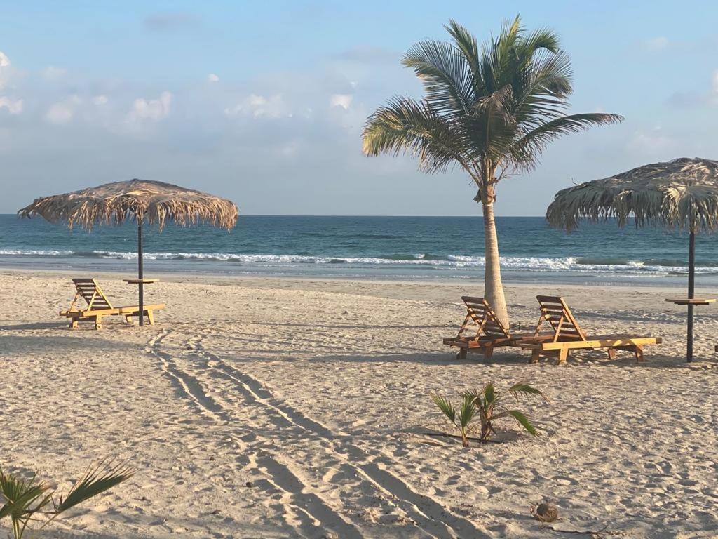 Segal Salalah-Forest Island-Hawana Luaran gambar
