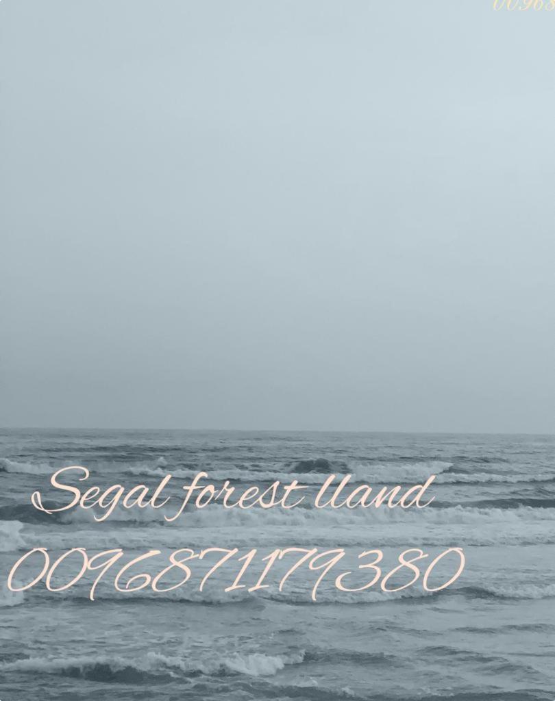 Segal Salalah-Forest Island-Hawana Luaran gambar